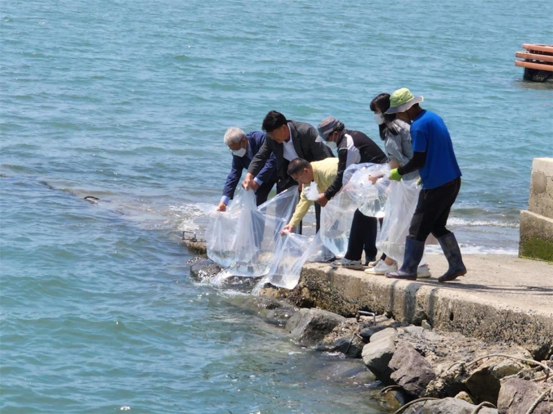 완도군이 지난 3일 전라남도해양수산과학원과 함께 풍요로운 바다 만들기의 일환으로 어린 대하 250만 마리를 완도읍 정도리와 고금면 농상리 해역에 방류했다. 사진=완도군