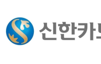 신한카드, '리스차 800여대' 잔존가액 209억원 非차감 대출 등록…금감원 