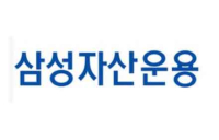 삼성자산운용, 美 시장에 두번째 'K-ETF' 수출했다