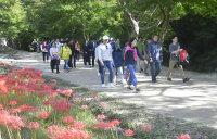 ‘제1회 강천산배 등산대회’ 23일 순창서 개최 