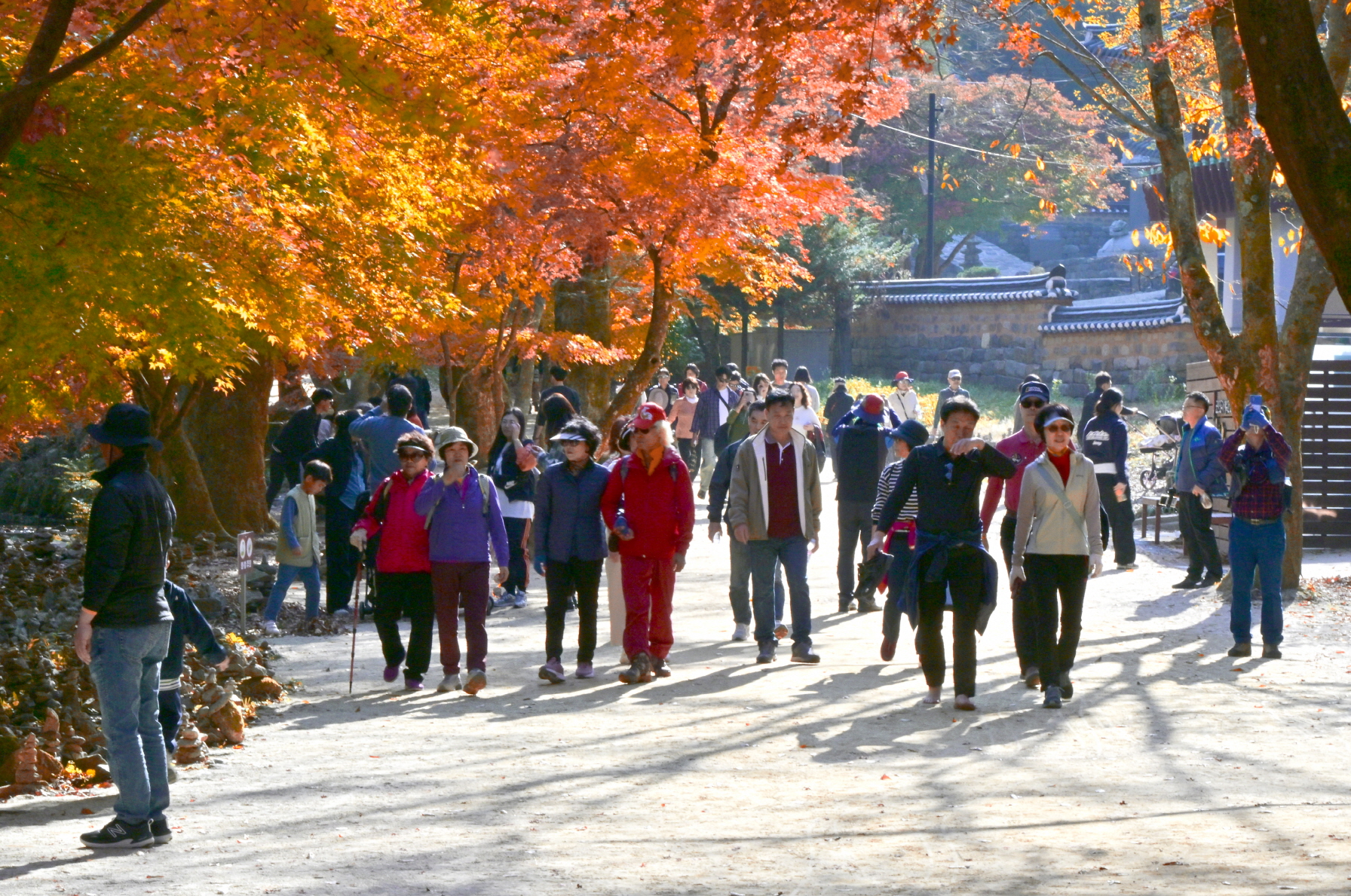 순창군 강천산군립공원, 가을 단풍철 16만2천명 방문 ‘역대 최다’ 