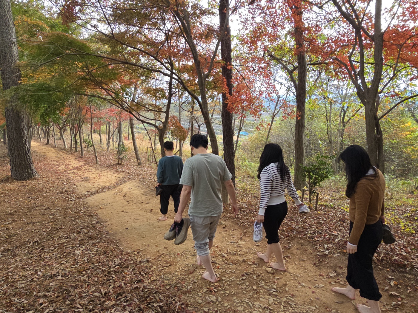 보성군, 산림 공한지 활용 단계별 ‘도시 숲’ 마련