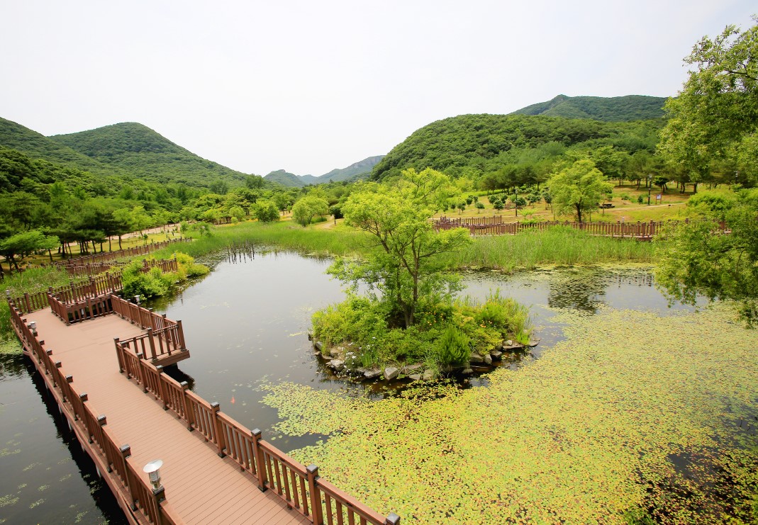 고창 선운산도립공원, 사계절 휴양명소 조성 대대적 정비